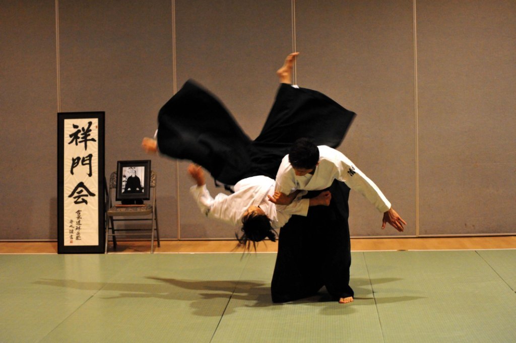 aikido